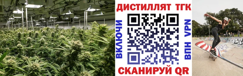 МЕГА как зайти  Ахтырский  Дистиллят ТГК концентрат 